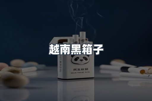 越南黑箱子
